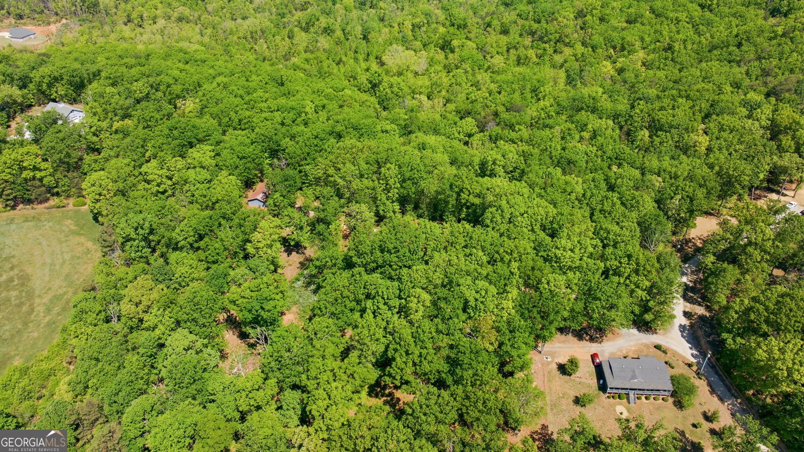 523 Mountain Ranch Road Clarkesville - Photo 42
