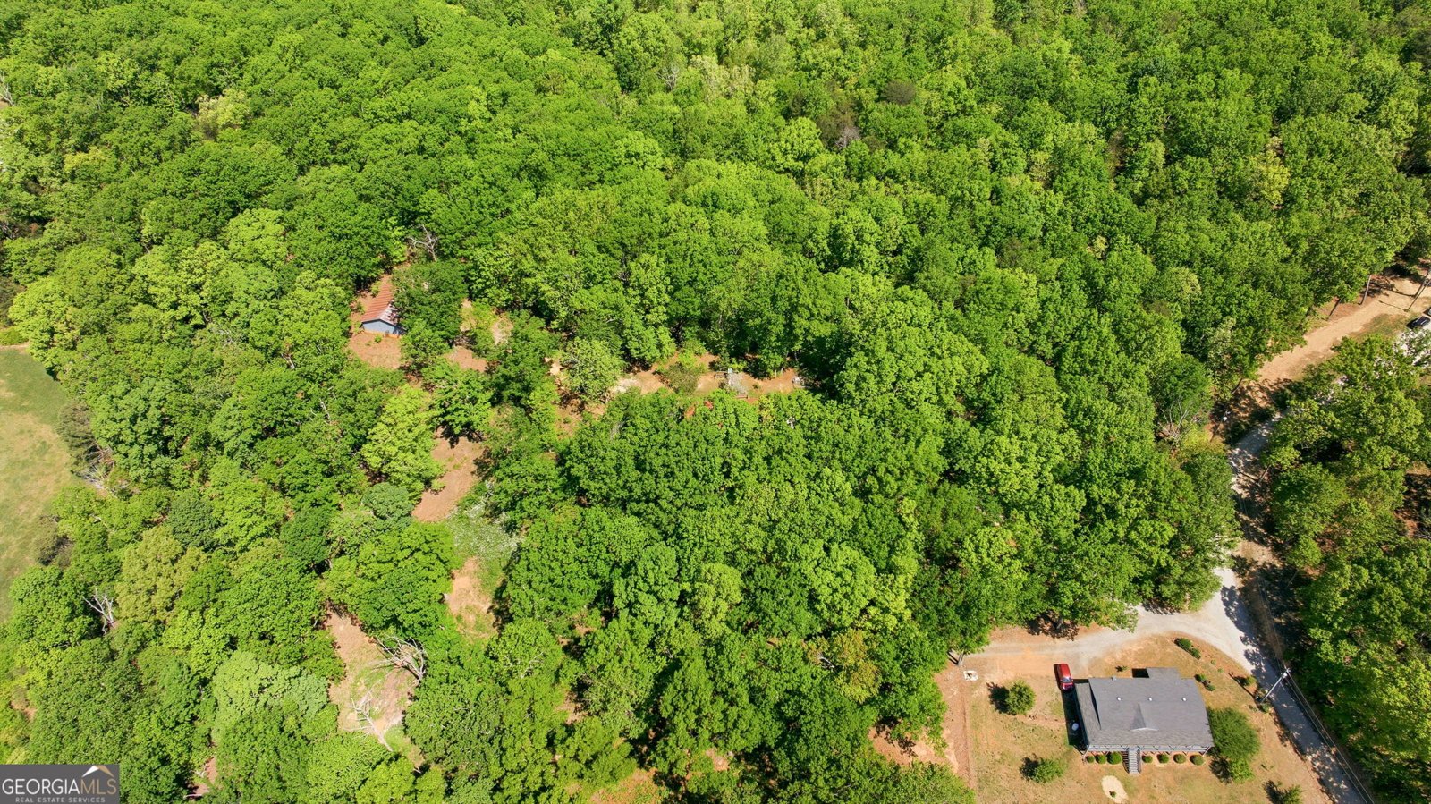 523 Mountain Ranch Road Clarkesville - Photo 43