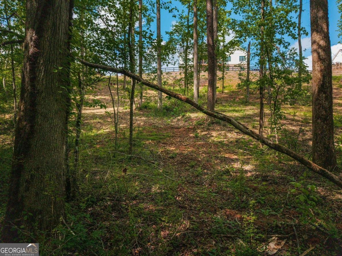392 London Road Ball Ground - Photo 54