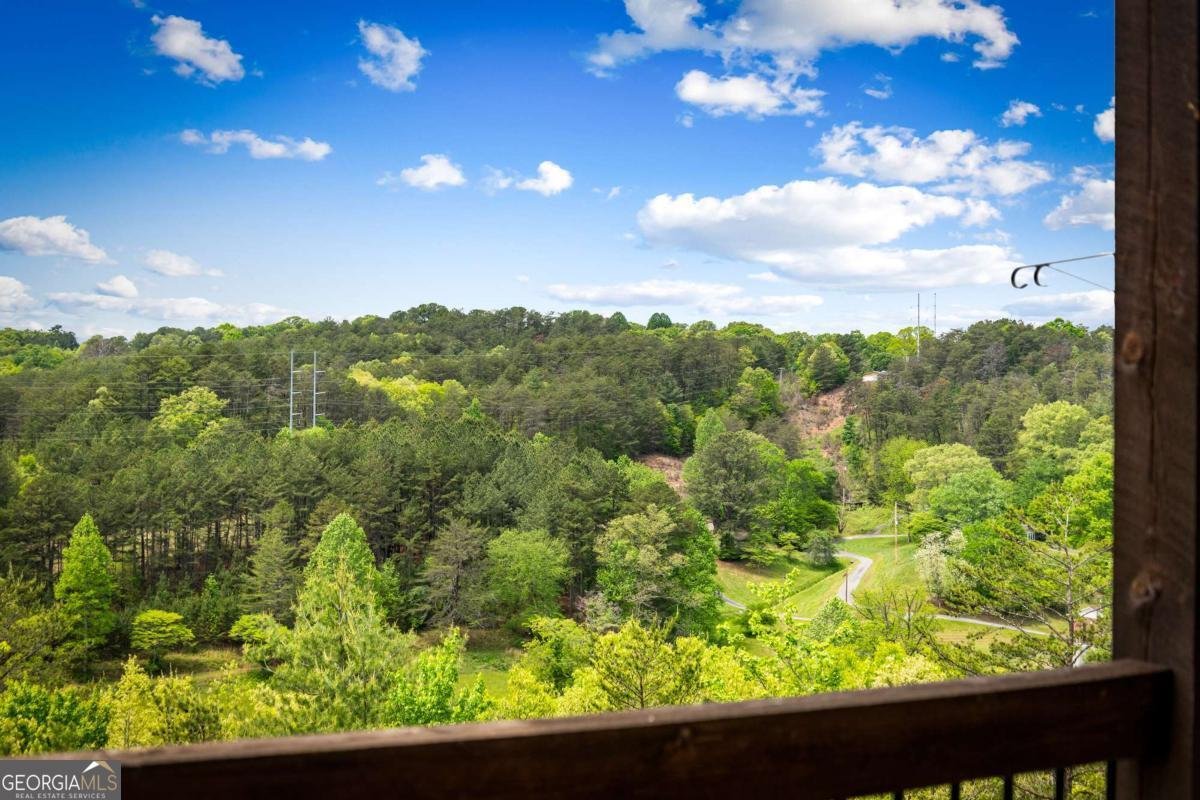 670 River Hill Road Mineral Bluff - Photo 73