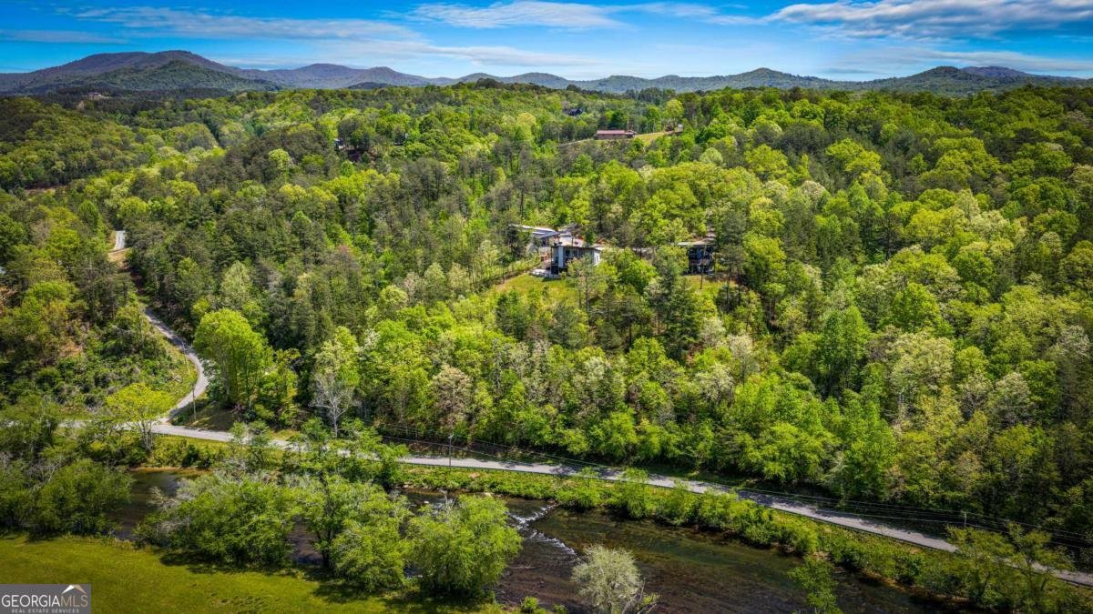 670 River Hill Road Mineral Bluff - Photo 9
