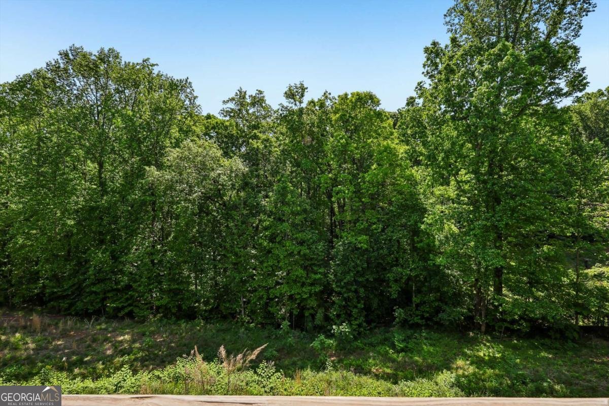 4214 Quail Creek Drive Flowery Branch - Photo 34