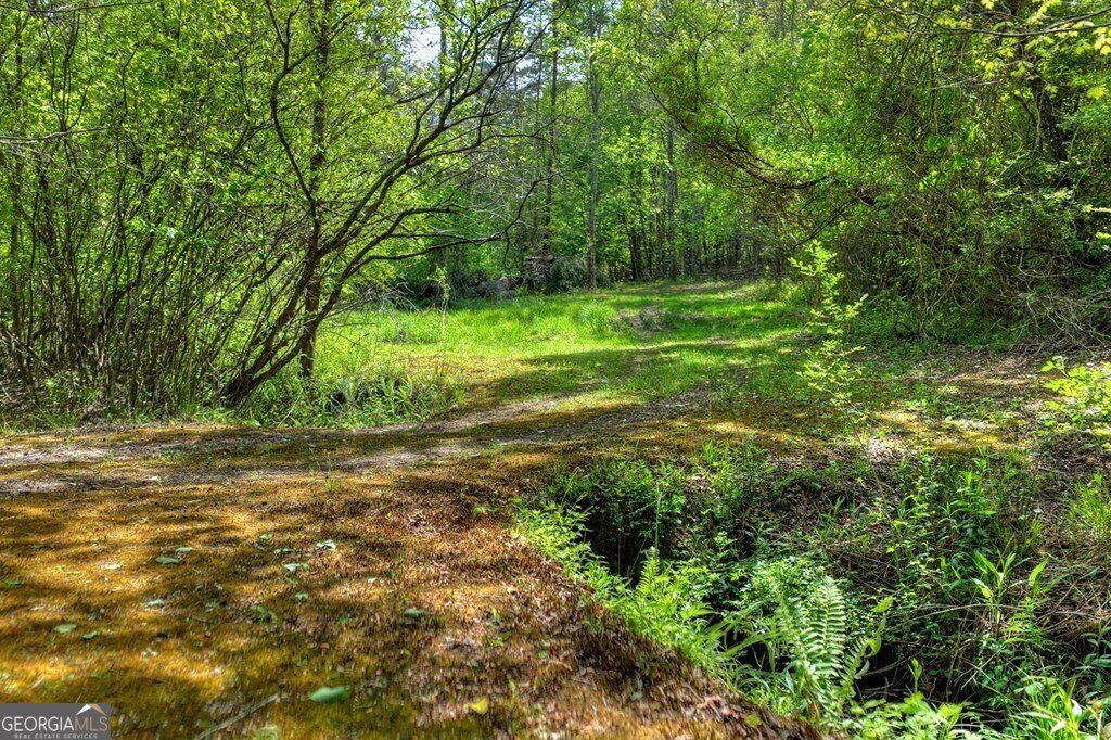 111 Candlewood Lane Blue Ridge - Photo 10