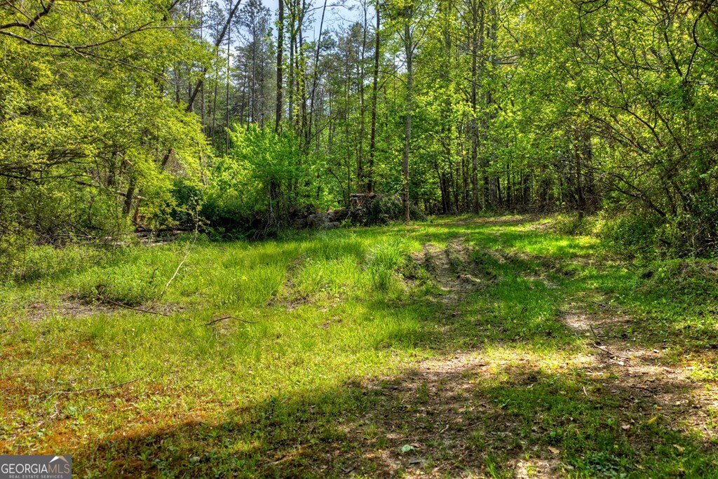 111 Candlewood Lane Blue Ridge - Photo 11