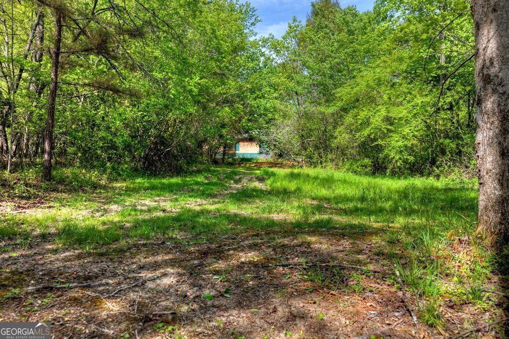 111 Candlewood Lane Blue Ridge - Photo 14