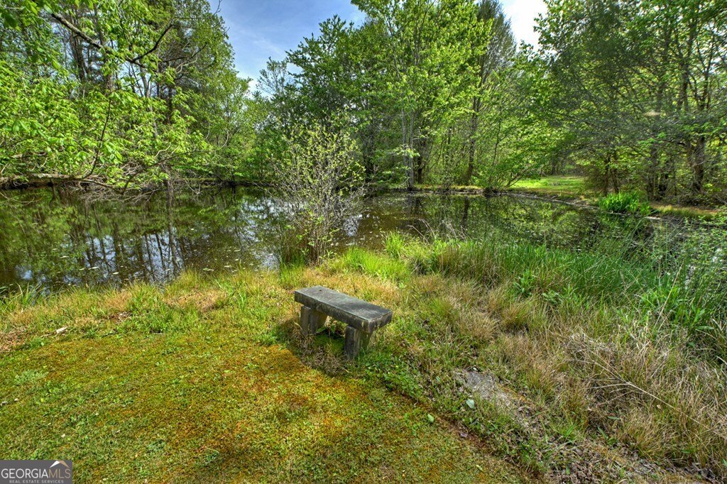 111 Candlewood Lane Blue Ridge - Photo 33