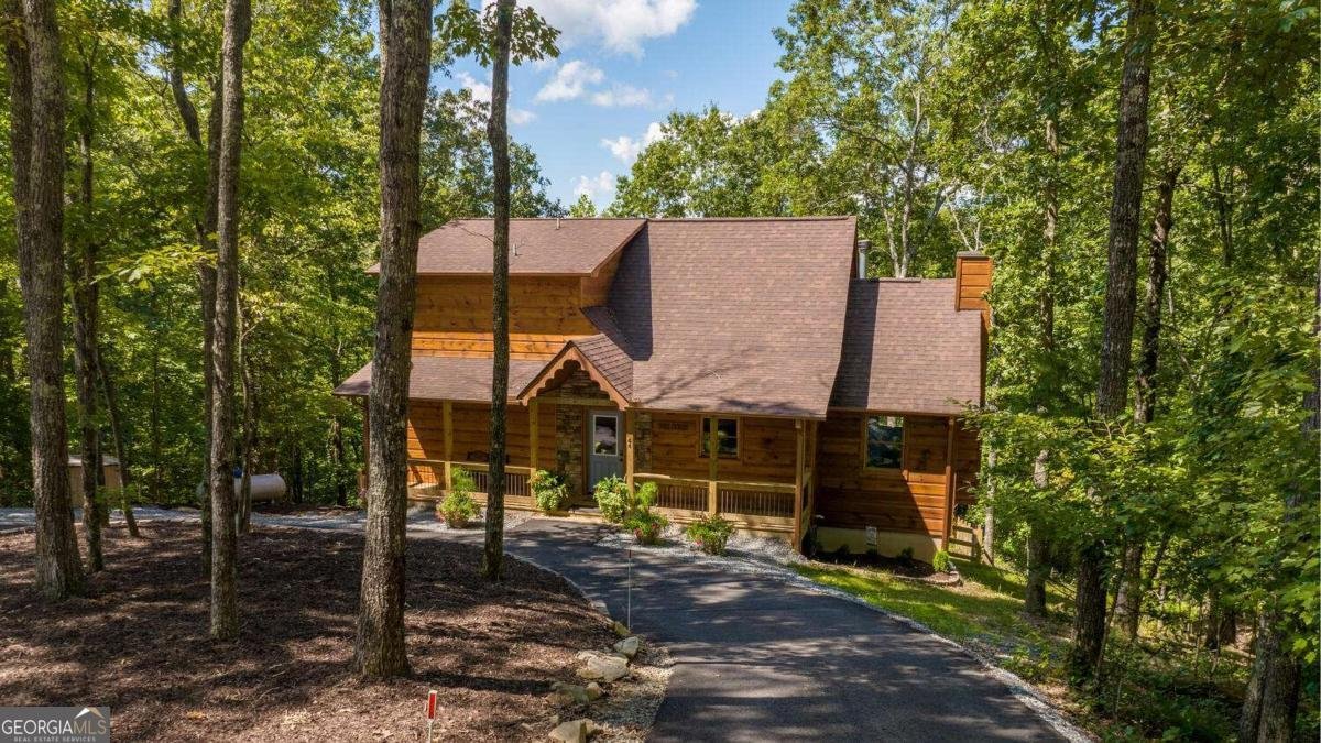 44 Windy Valley SPUR Blue Ridge - Photo 18