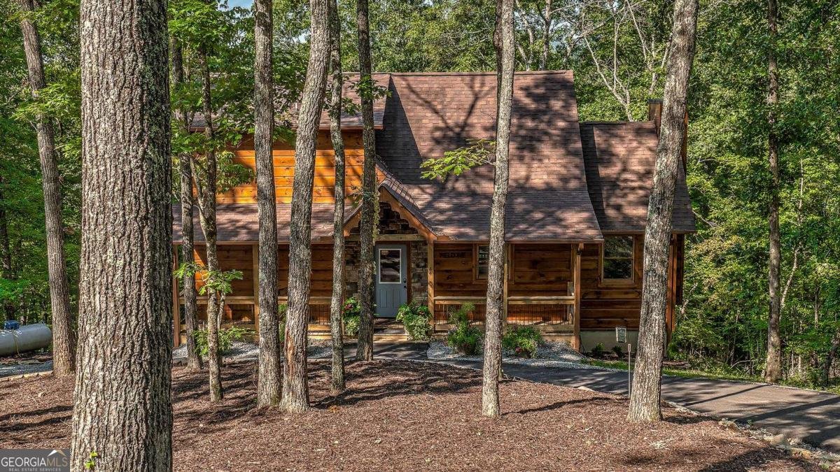 44 Windy Valley SPUR Blue Ridge - Photo 19