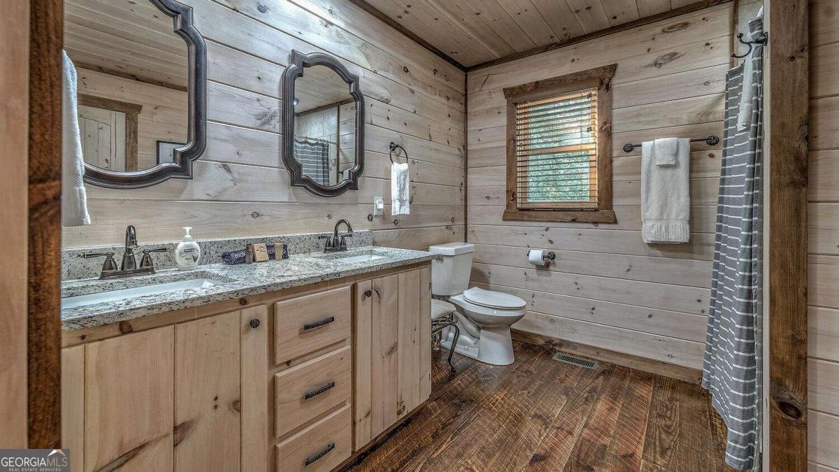 44 Windy Valley SPUR Blue Ridge - Photo 29