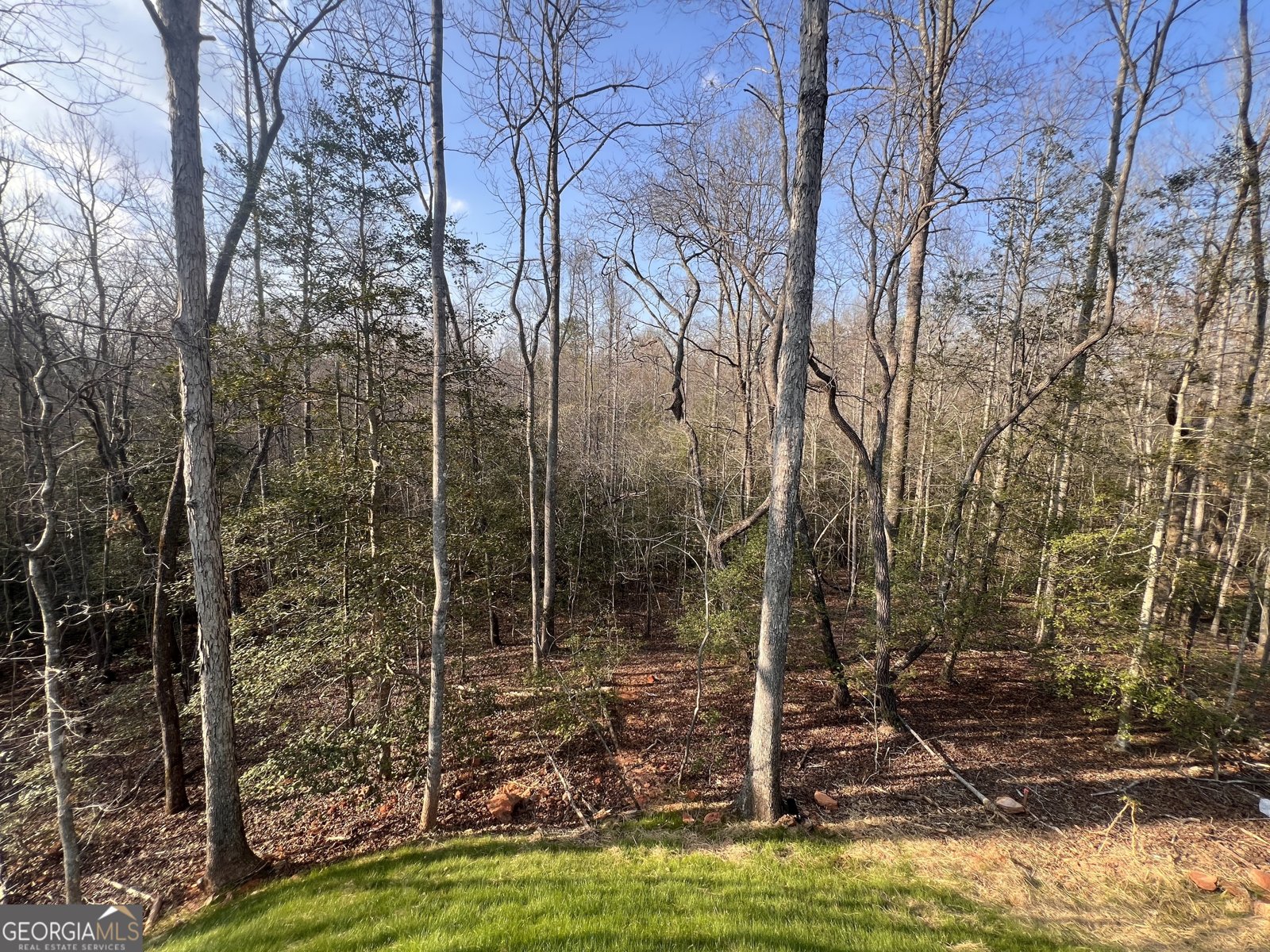 329 Twisting Ridge Trail Demorest - Photo 29