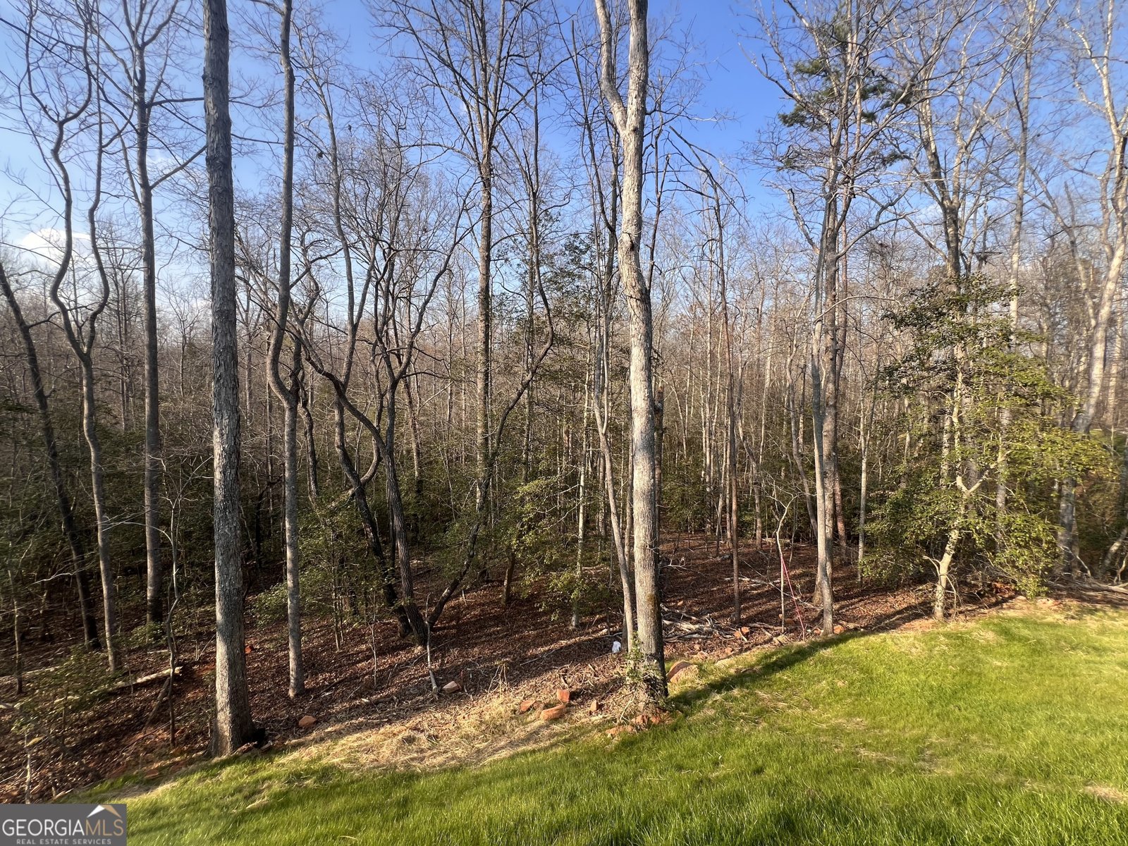 329 Twisting Ridge Trail Demorest - Photo 30