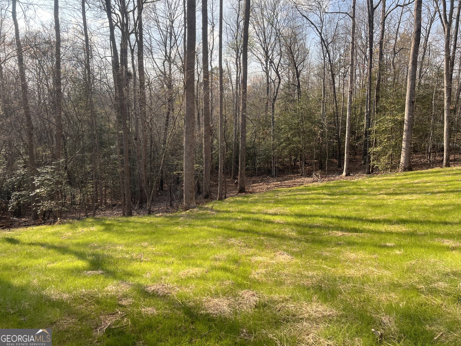 329 Twisting Ridge Trail Demorest - Photo 31