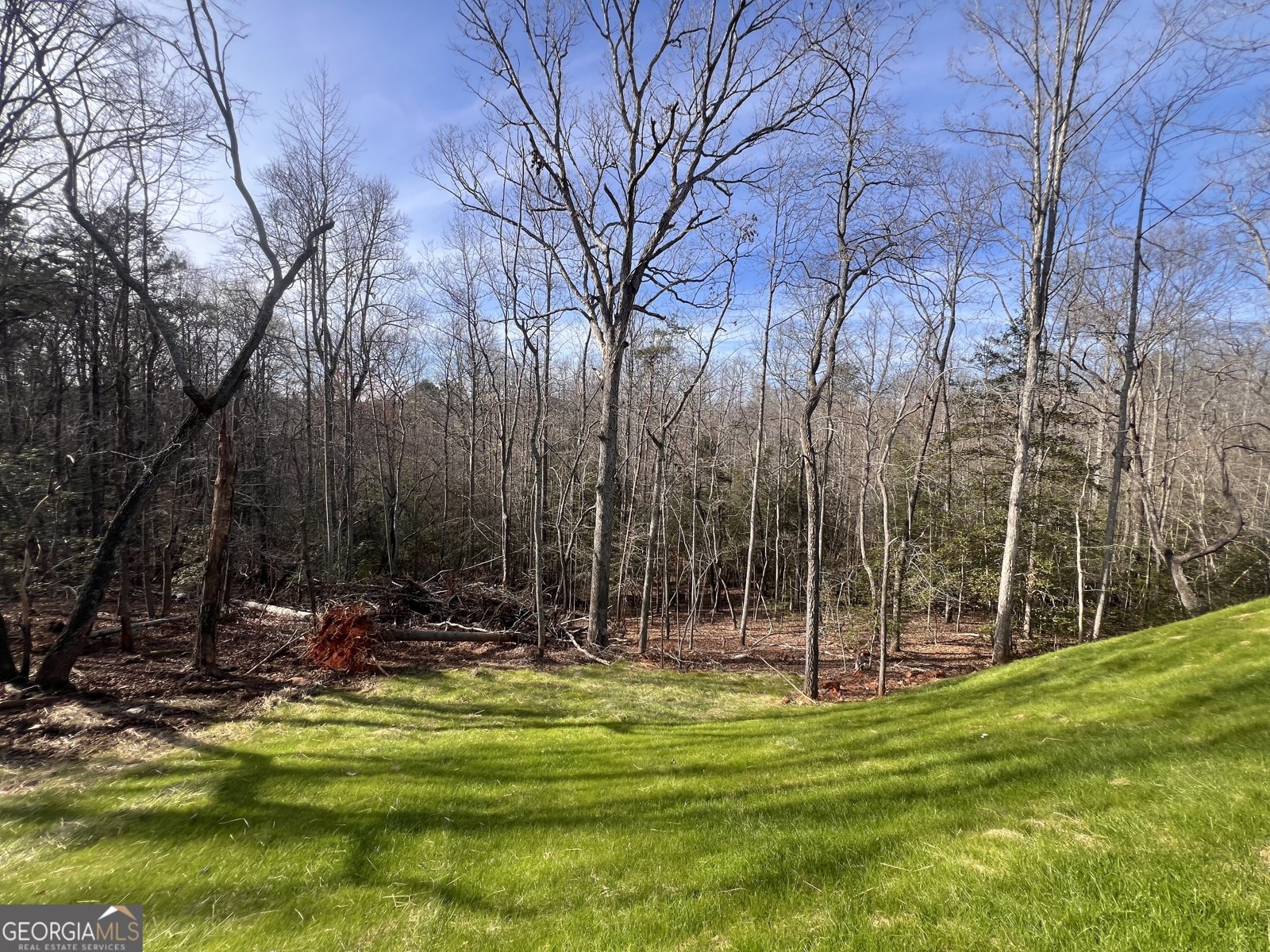 329 Twisting Ridge Trail Demorest - Photo 32