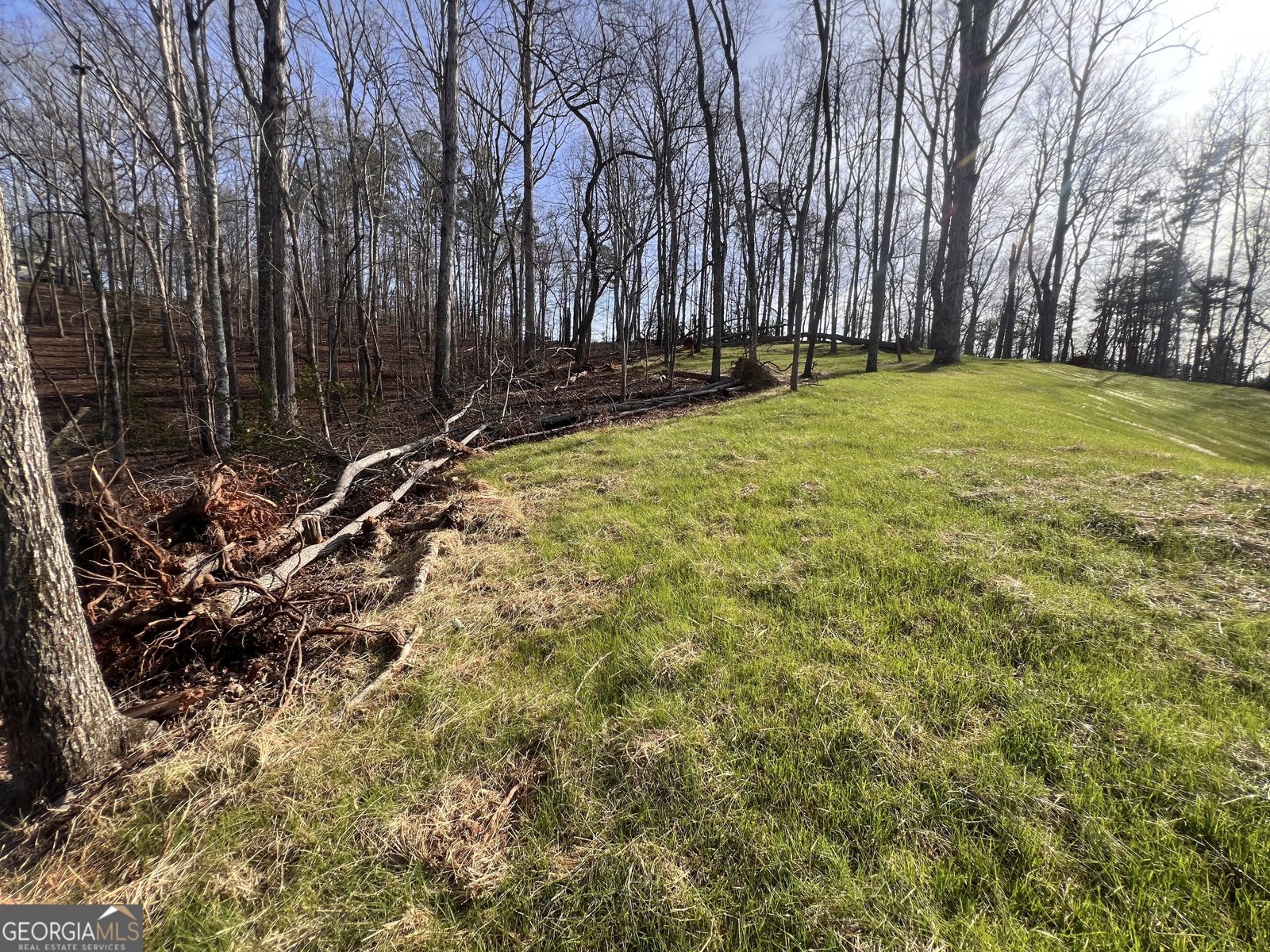 329 Twisting Ridge Trail Demorest - Photo 33