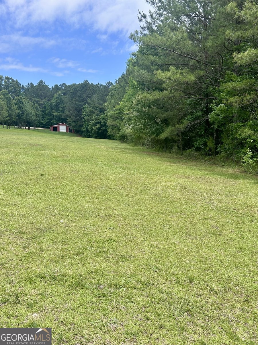 1359 Jenkins Road Forsyth - Photo 108