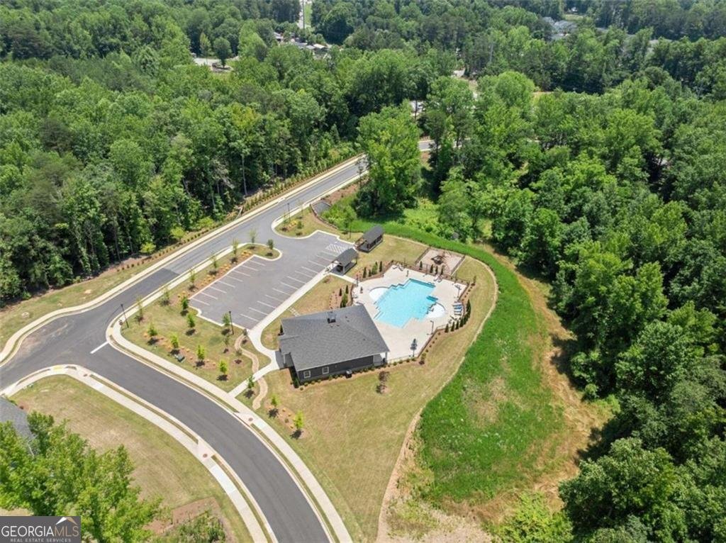 225 Magnolia Drive Dawsonville - Photo 40