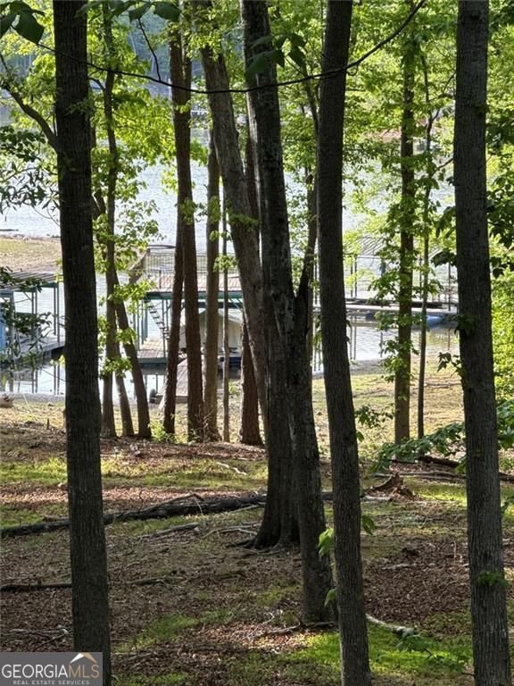 8012 Beachwood Drive Murrayville - Photo 39