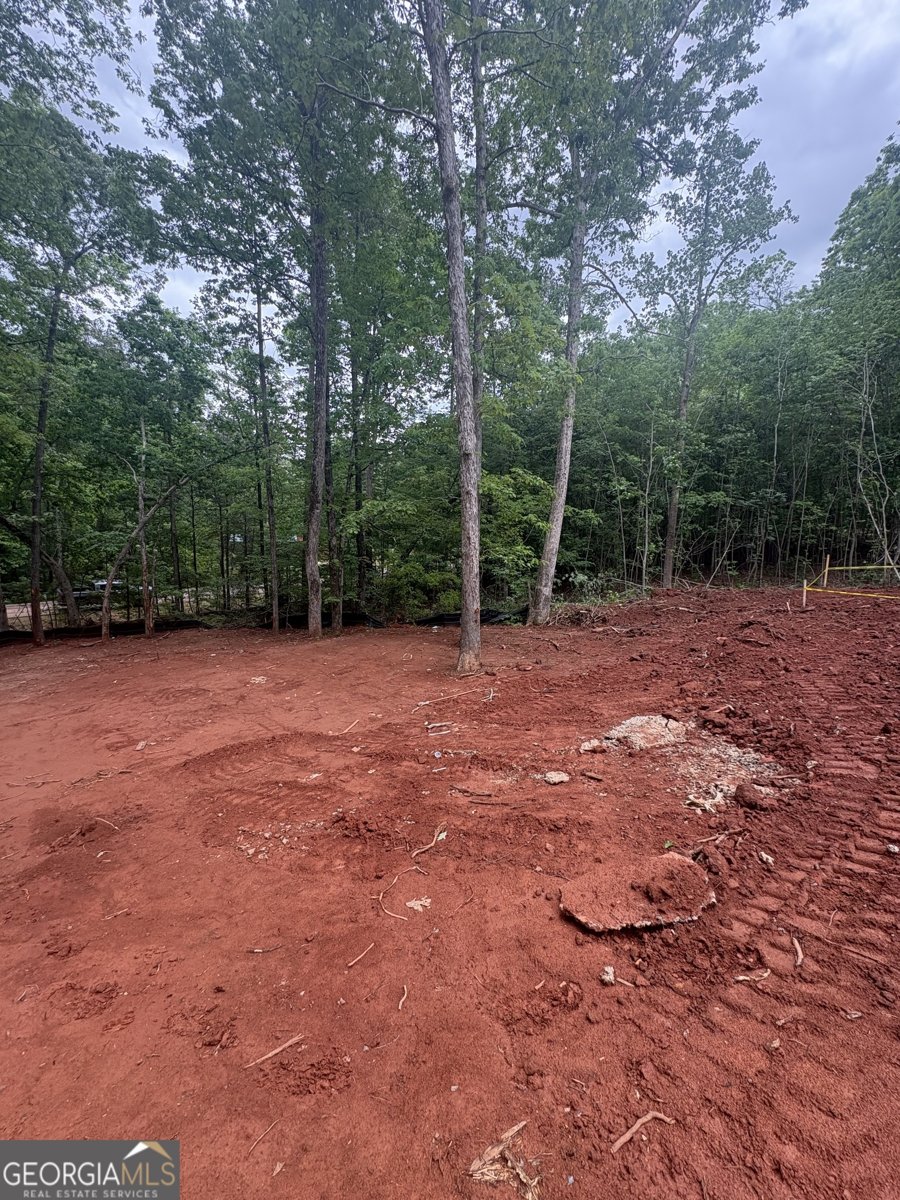 299 Shore Crest Drive Martin - Photo 14