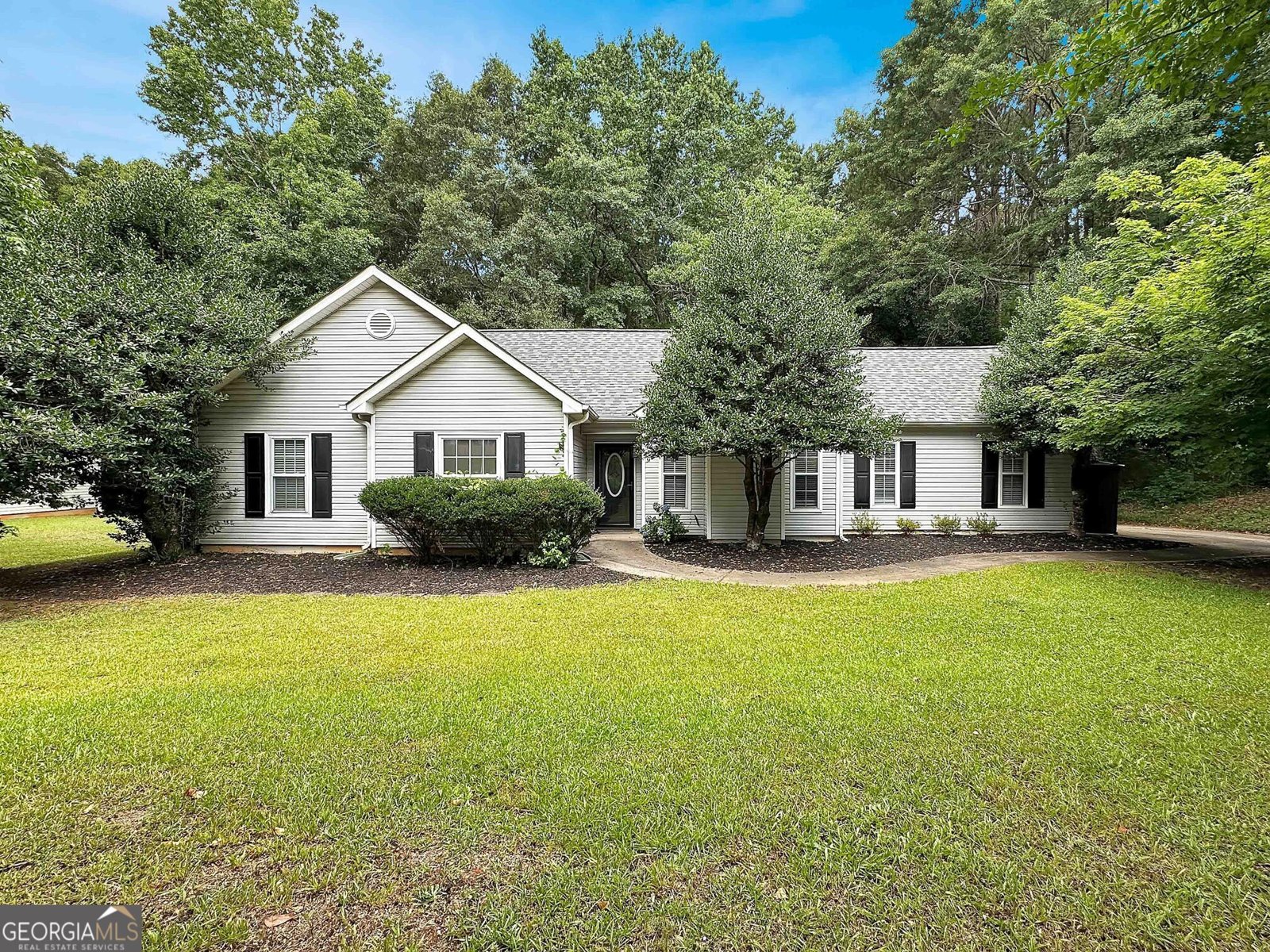 77 Paces Landing Way Newnan - Photo 1