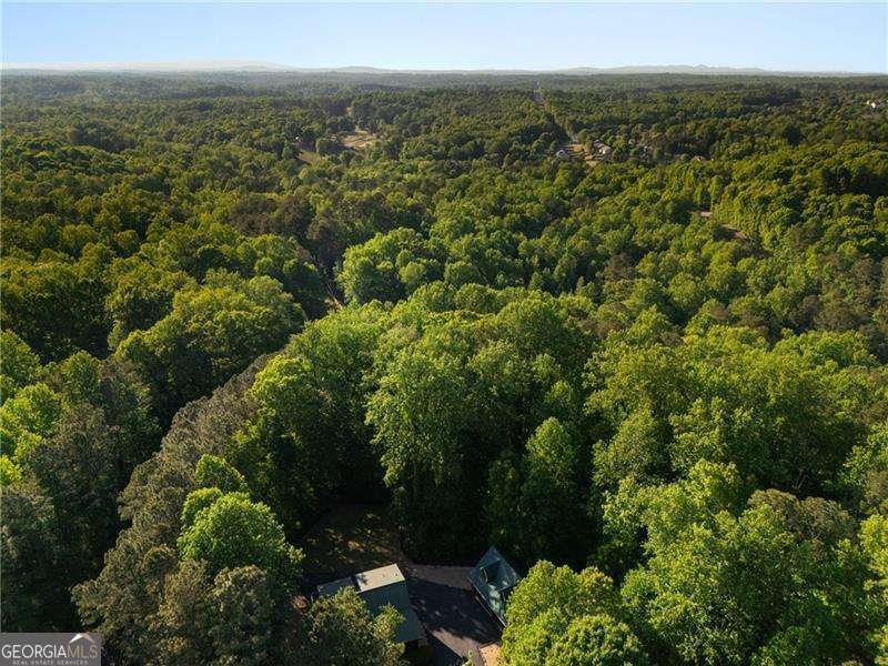 311 Woodland Brook Drive Canton - Photo 58