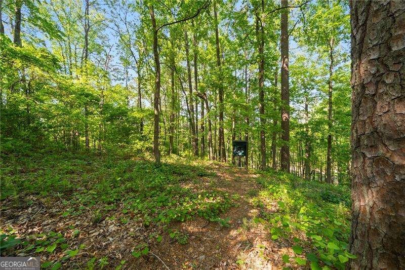 311 Woodland Brook Drive Canton - Photo 62