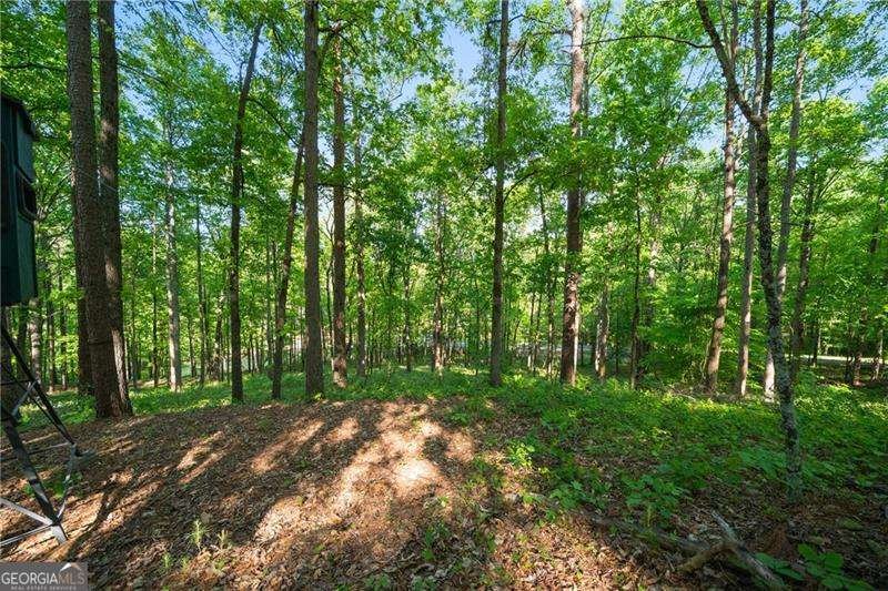 311 Woodland Brook Drive Canton - Photo 63