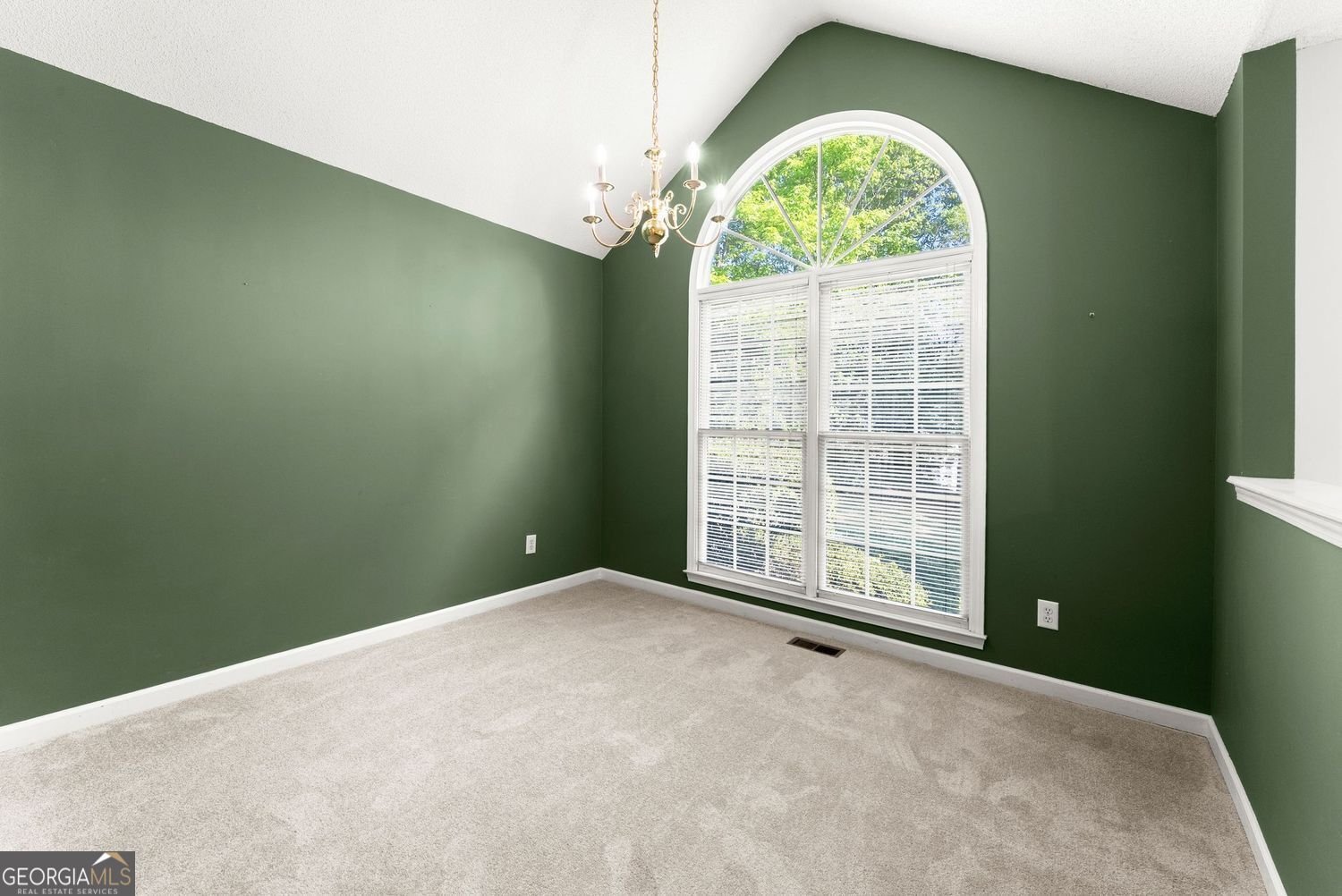 74 Blacks Mill Trace Dawsonville - Photo 13