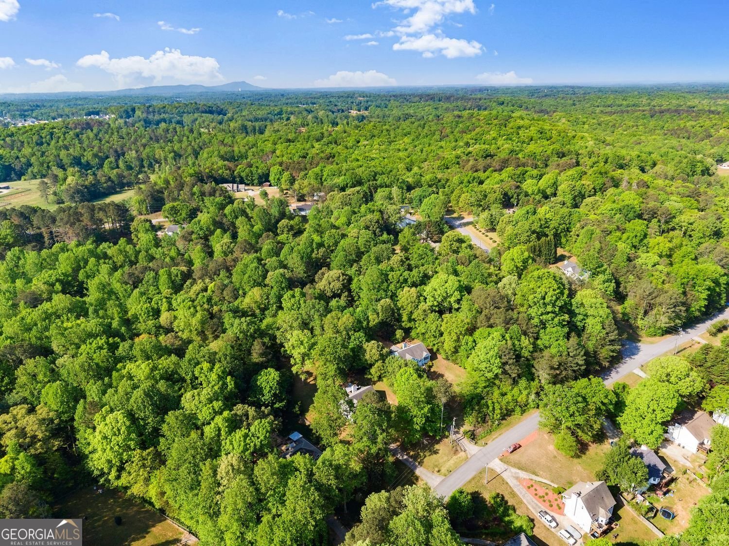 74 Blacks Mill Trace Dawsonville - Photo 46