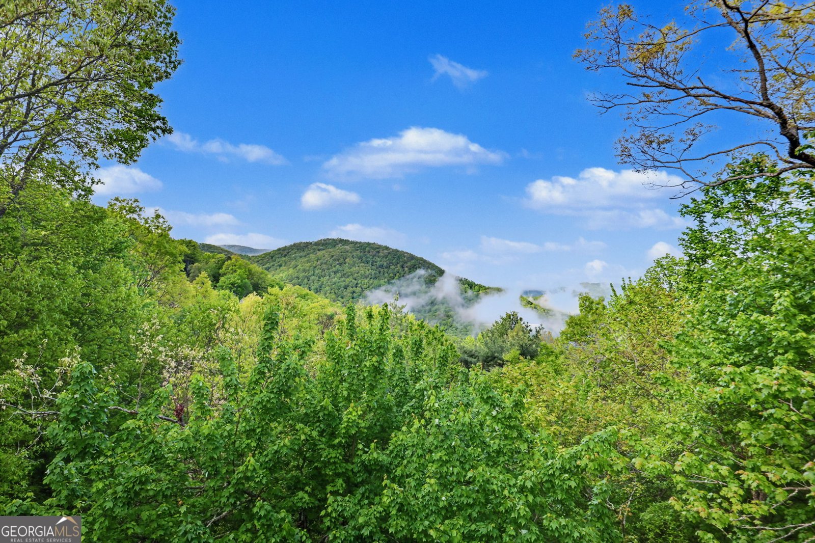 89 McClure Lane Dillard - Photo 14