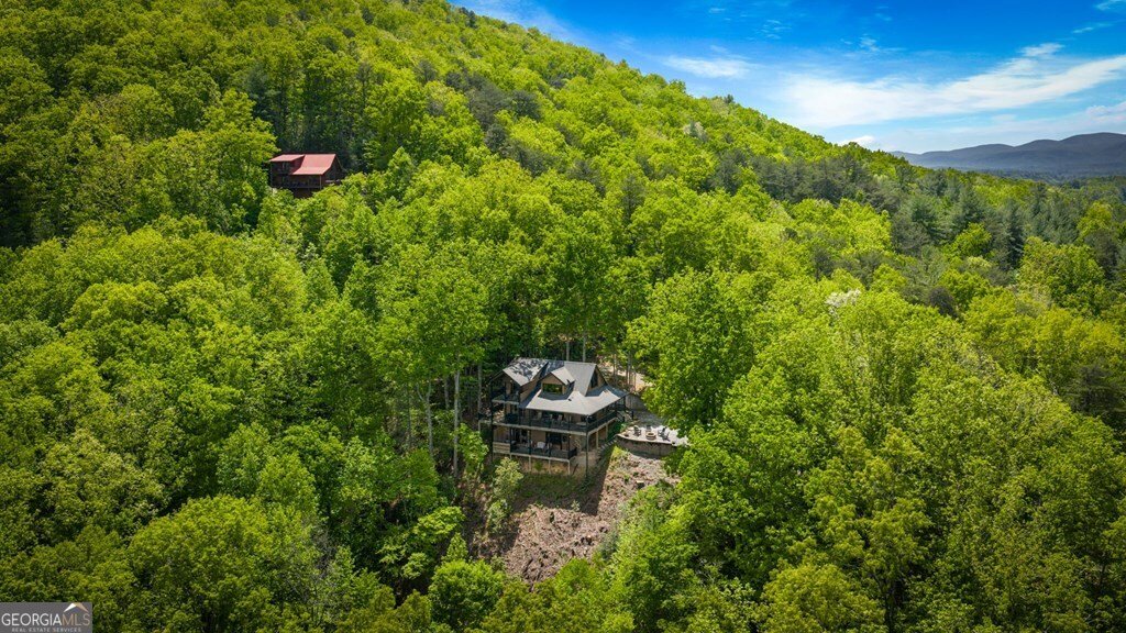 607 Rhonda Lane Mineral Bluff - Photo 15