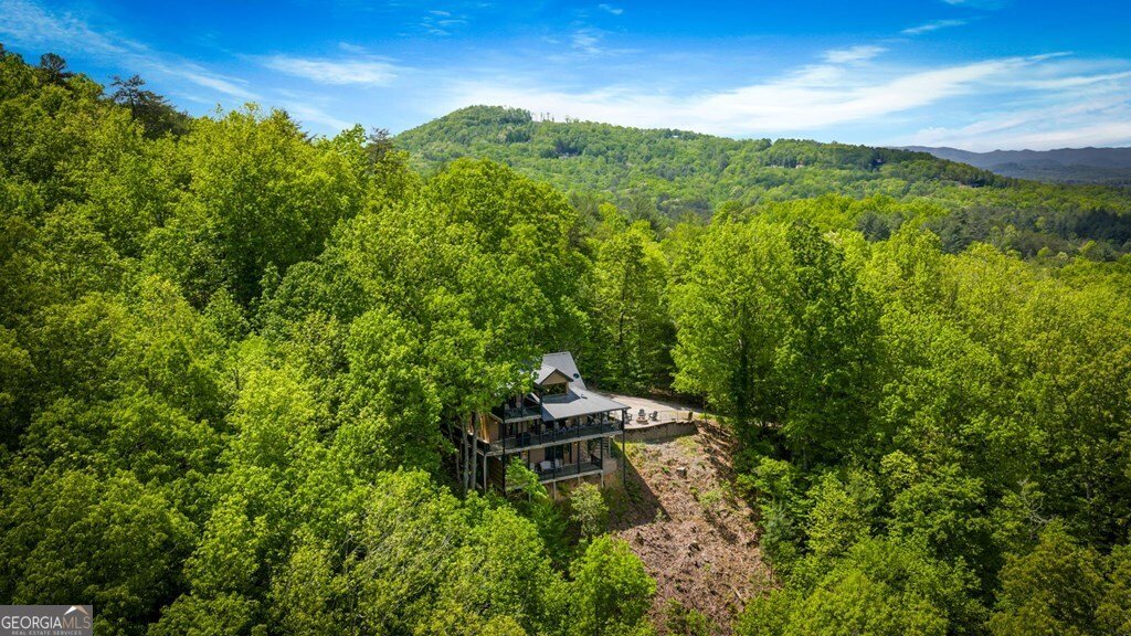 607 Rhonda Lane Mineral Bluff - Photo 20