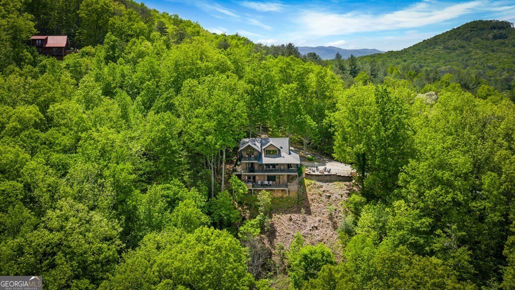 607 Rhonda Lane Mineral Bluff - Photo 21