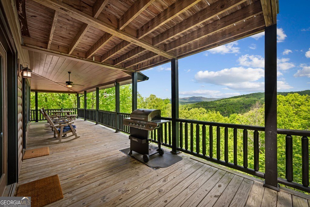 607 Rhonda Lane Mineral Bluff - Photo 35