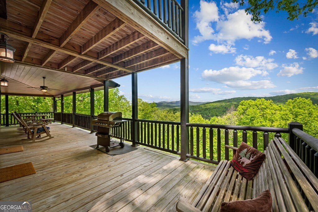 607 Rhonda Lane Mineral Bluff - Photo 36