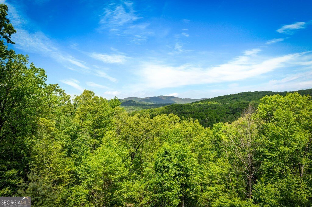 607 Rhonda Lane Mineral Bluff - Photo 38