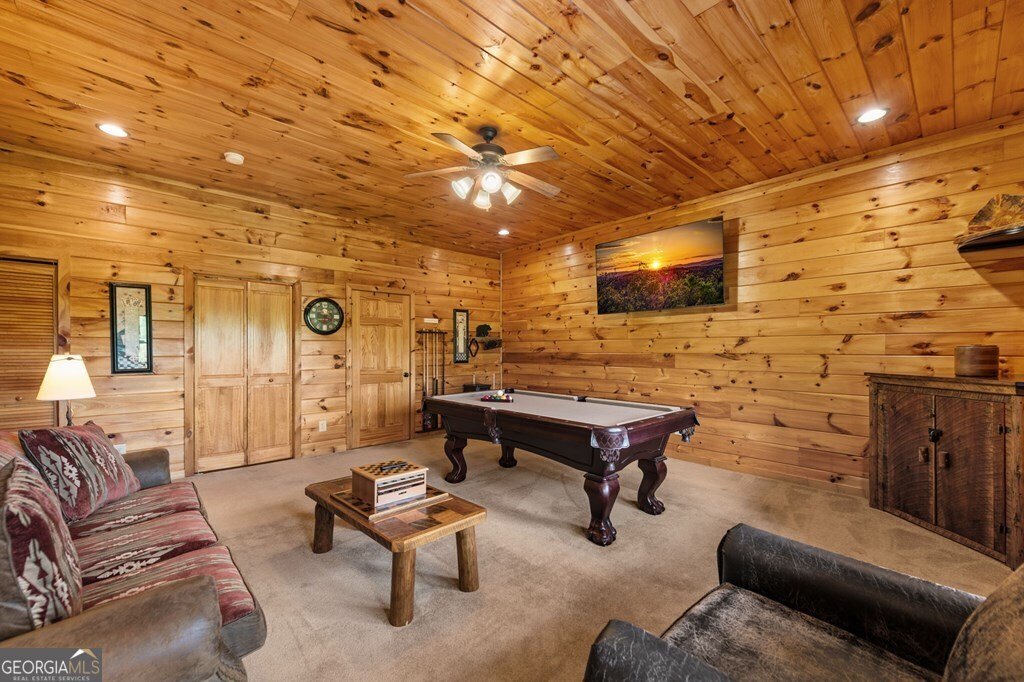 607 Rhonda Lane Mineral Bluff - Photo 75