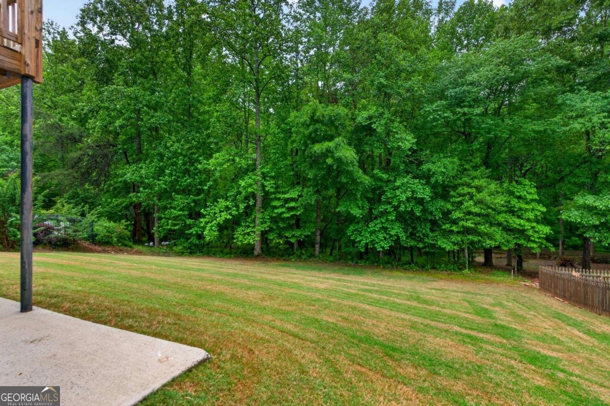 142 Bent Ridge Drive Dawsonville - Photo 41