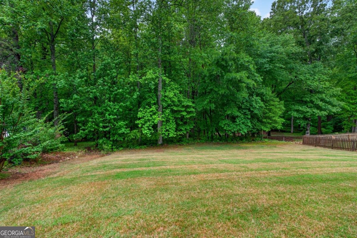 142 Bent Ridge Drive Dawsonville - Photo 44