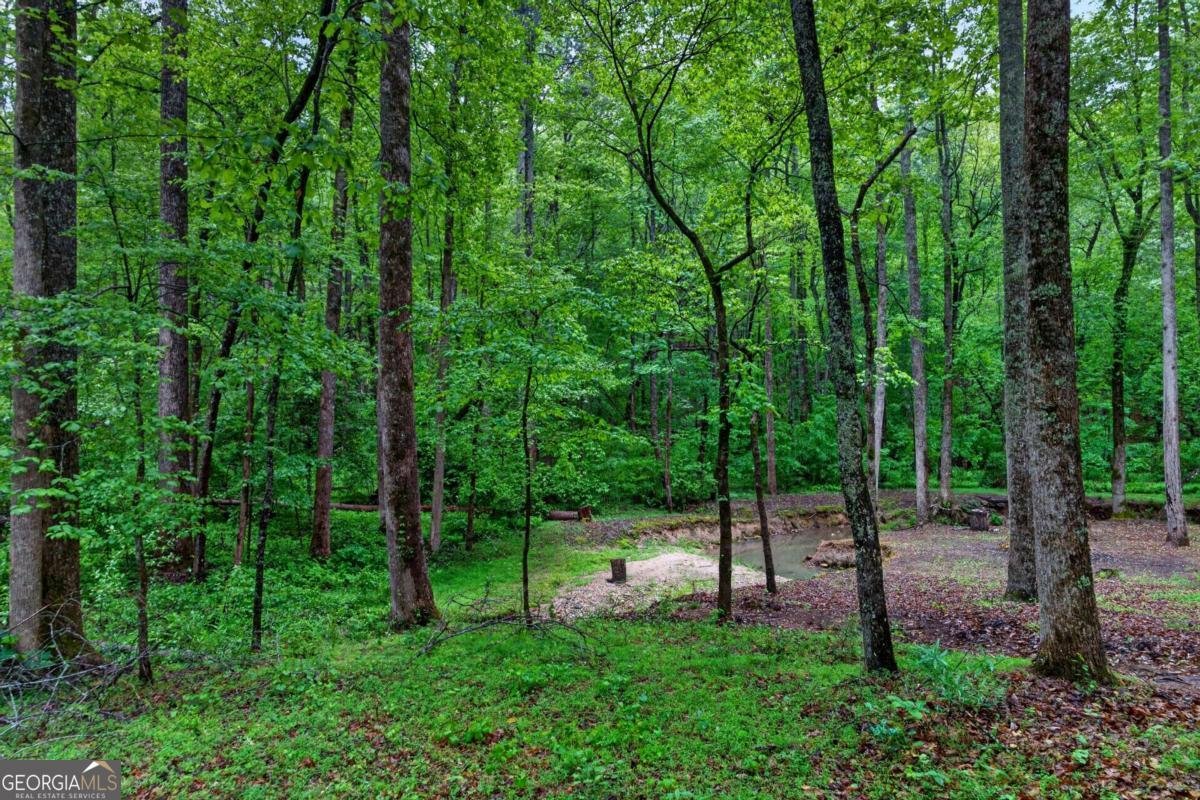 142 Bent Ridge Drive Dawsonville - Photo 45