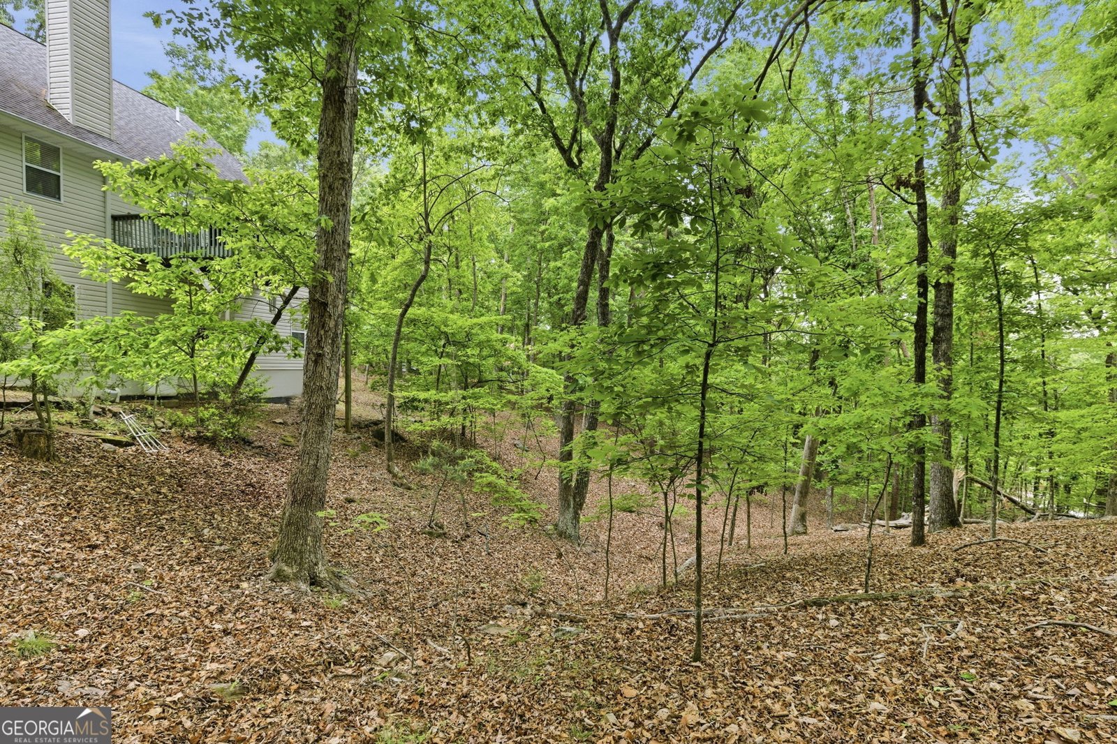 1077 Panorama Drive Sautee Nacoochee - Photo 50
