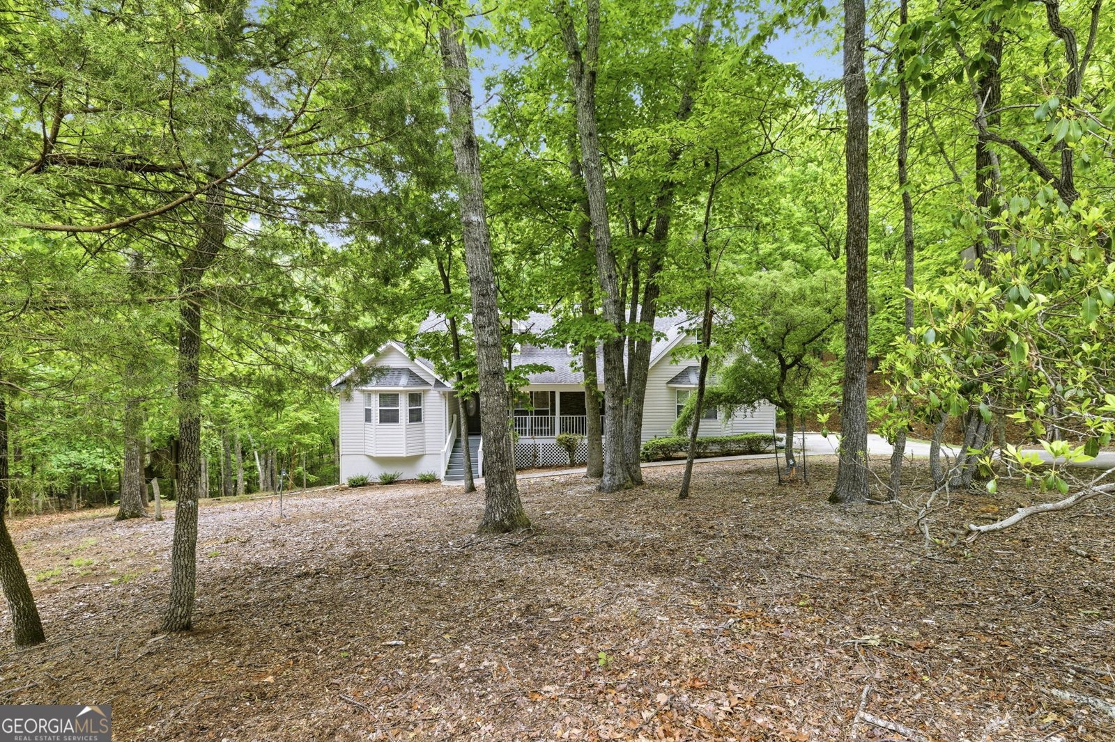 1077 Panorama Drive Sautee Nacoochee - Photo 51