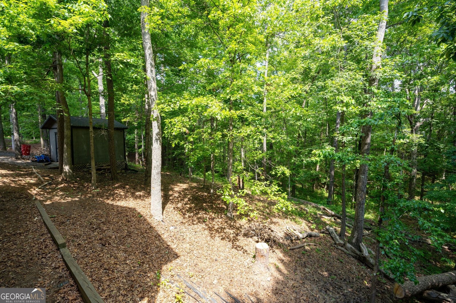 1350 Chester Harris Drive Dallas - Photo 49