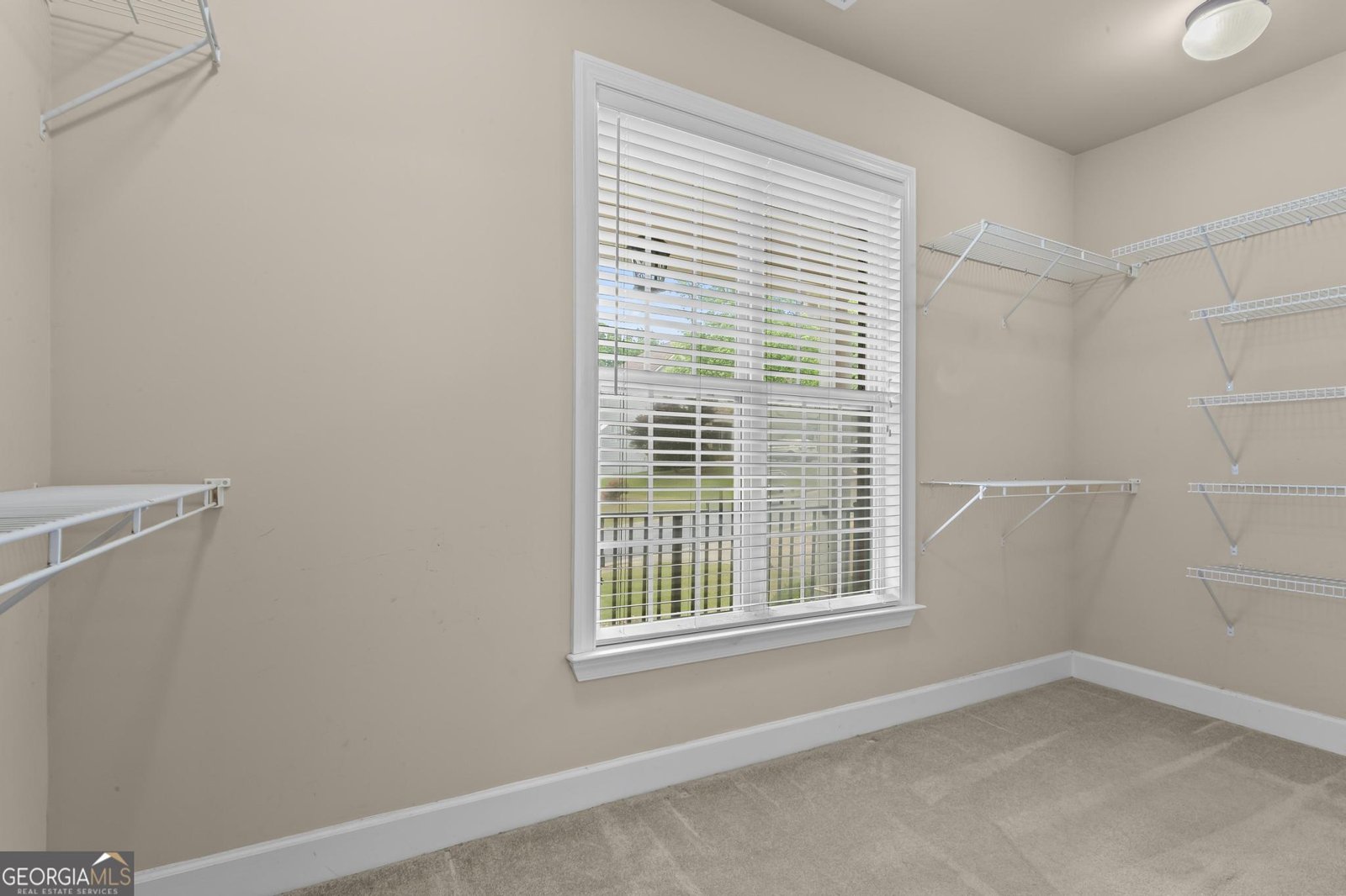 214 Woodview Lane Woodstock - Photo 20