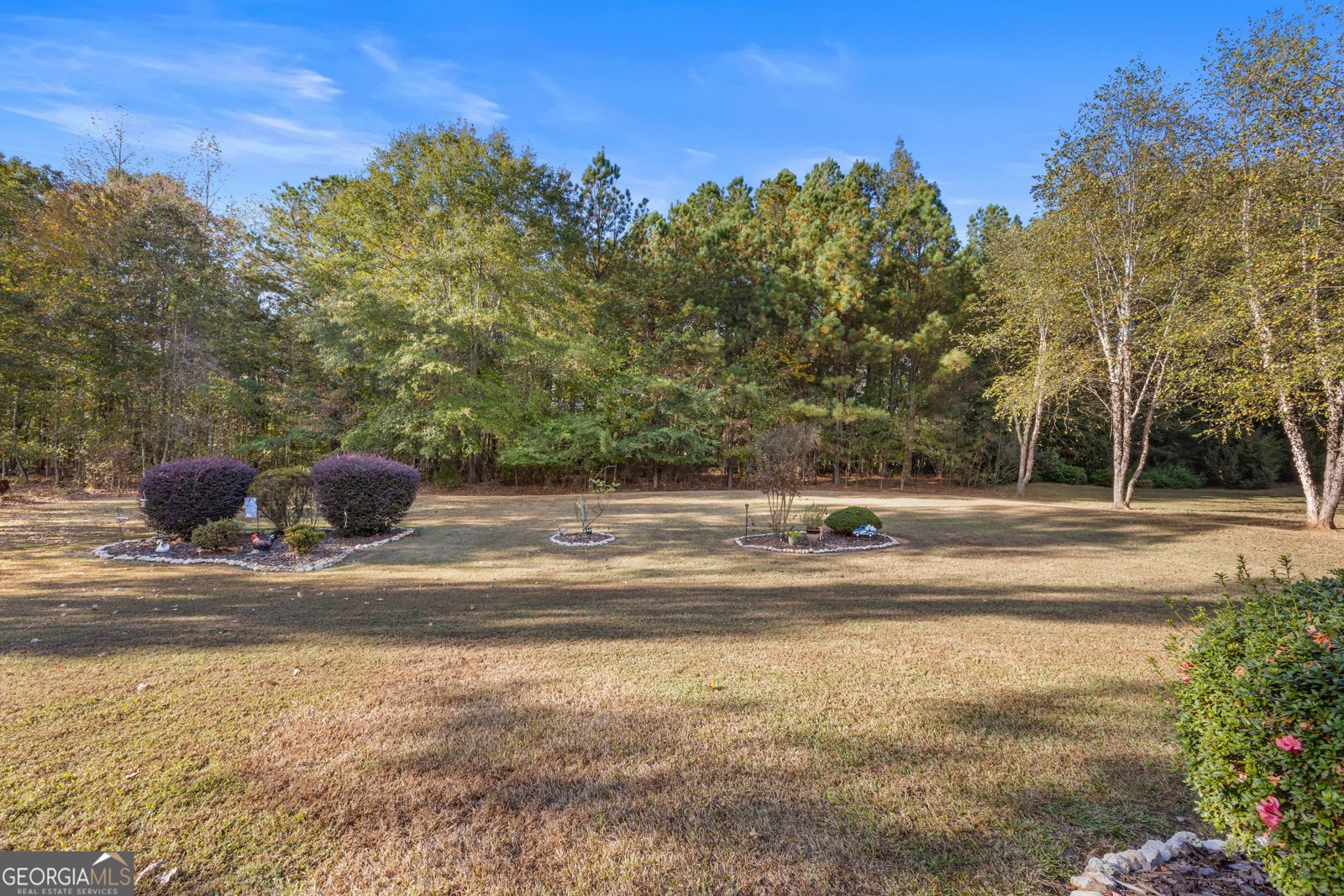 115 Rose Creek Drive Covington - Photo 33