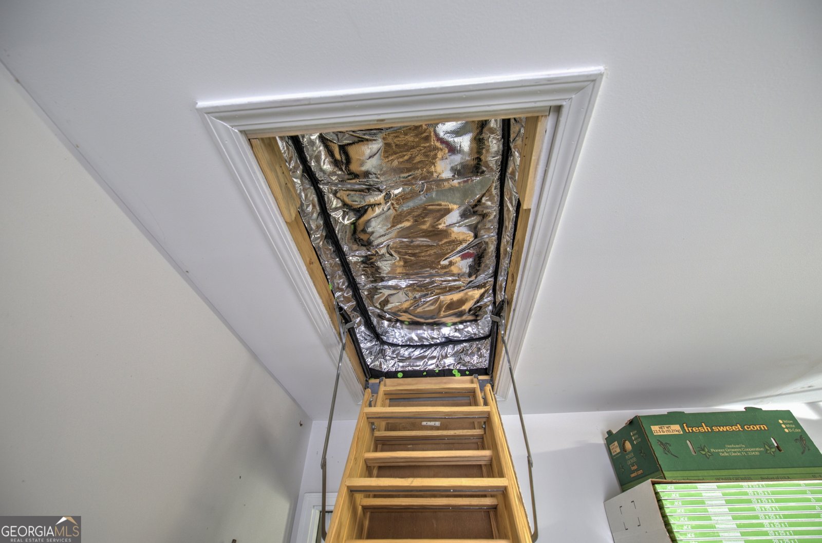 33 Westbury Drive Rome - Photo 20