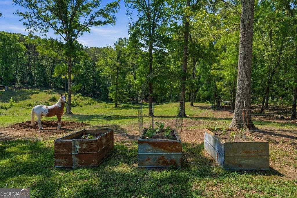 2176 N Bellview Road Rockmart - Photo 30