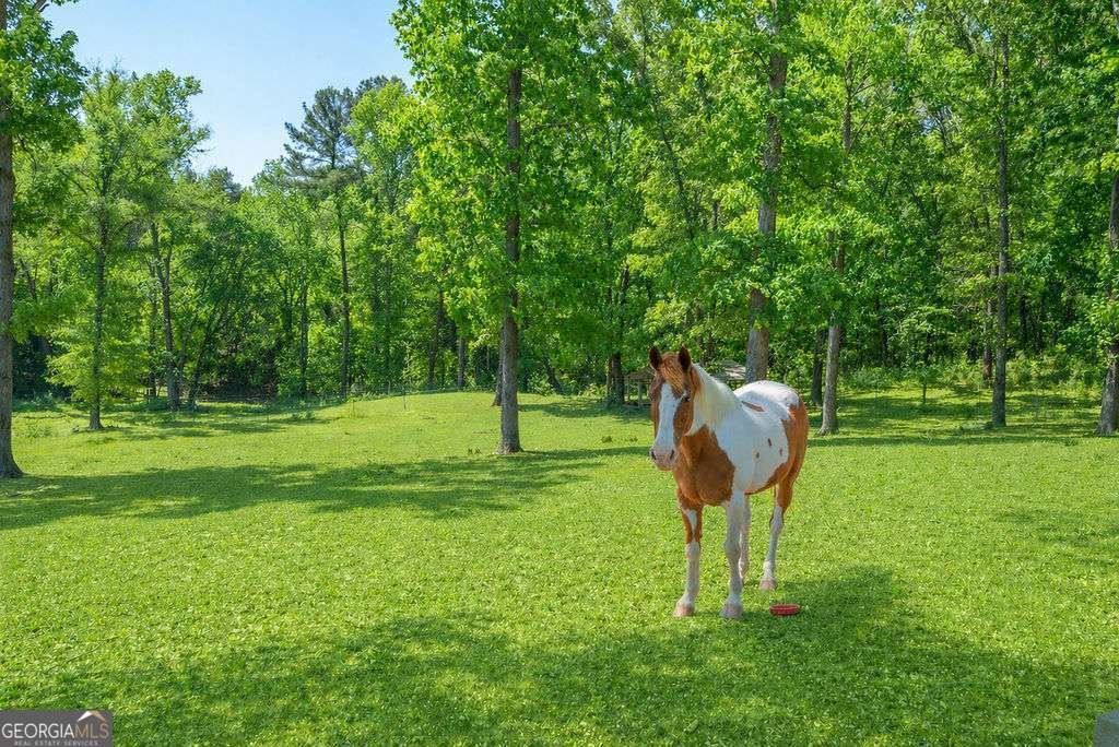 2176 N Bellview Road Rockmart - Photo 33