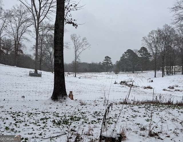 2176 N Bellview Road Rockmart - Photo 38