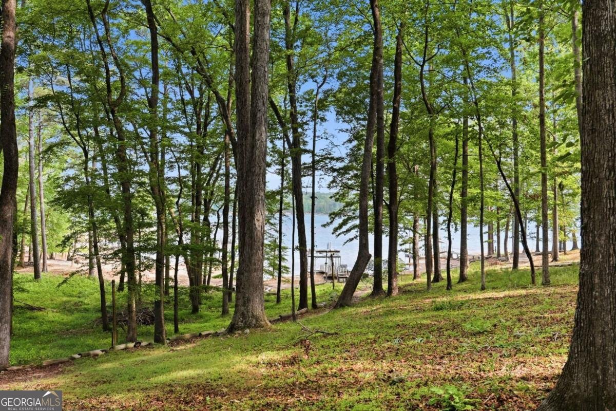 3243 Galts Road Acworth - Photo 39