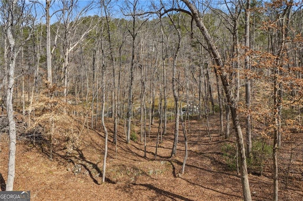 8010 Thunder River Way Cumming - Photo 71